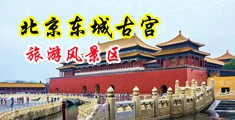 桶美女的BB视频中国北京-东城古宫旅游风景区